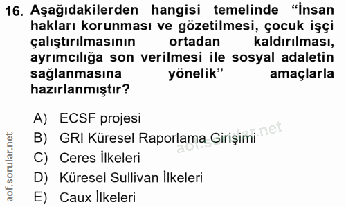 16. soru: Aşağıdakilerden hangisi temelinde "insan hakları korunması ve gözetilmesi, çocuk işçi çalıştırılmasının ortadan kaldı…