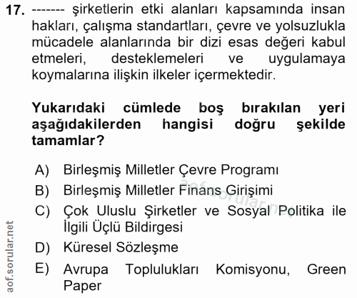 17. soru: - şirketlerin etki alanları kapsamında insan hakları, çalışma standartları, çevre ve yolsuzlukla mücadele alanlarında…