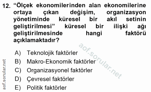 12. soru: "Ölçek ekonomilerinden alan ekonomilerine ortaya çıkan değişim, organizasyon yönetiminde küresel bir akıl setinin gel…
