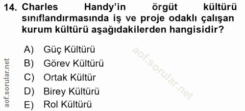 14. soru: Charles Handy'in örgüt kültürü sınıflandırmasında iş ve proje odaklı çalışan kurum kültürü aşağıdakilerden hangisidir…