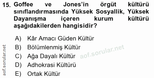 15. soru: Goffee ve Jones'in örgüt kültürü sınıflandırmasında Yüksek Sosyallik, Yüksek Dayanışma içeren kurum kültürü aşağıdaki…