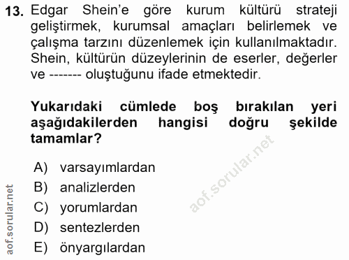 13. soru: Edgar Shein'e göre kurum kültürü strateji geliştirmek, kurumsal amaçları belirlemek ve çalışma tarzını düzenlemek içi…