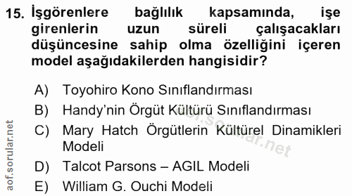 15. soru: İşgörenlere bağlılık kapsamında, işe girenlerin uzun süreli çalışacakları düşüncesine sahip olma özelliğini içeren mo…