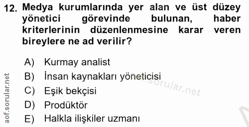 12. soru: Medya kurumlarında yer alan ve üst düzey yönetici görevinde bulunan, haber kriterlerinin düzenlenmesine karar veren b…