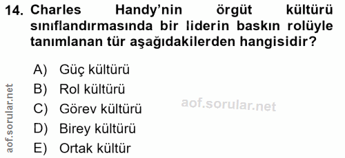 14. soru: Charles Handy'nin örgüt kültürü sınıflandırmasında bir liderin baskın rolüyle tanımlanan tür aşağıdakilerden hangisid…
