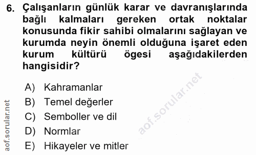 6. soru: Çalışanların günlük karar ve davranışlarında bağlı kalmaları gereken ortak noktalar konusunda fikir sahibi olmalarını…
