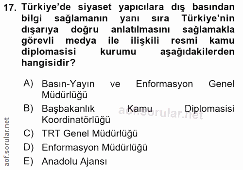 17. soru: Türkiye'de siyaset yapıcılara dış basından bilgi sağlamanın yanı sıra Türkiye'nin dışarıya doğru anlatılmasını sağlam…