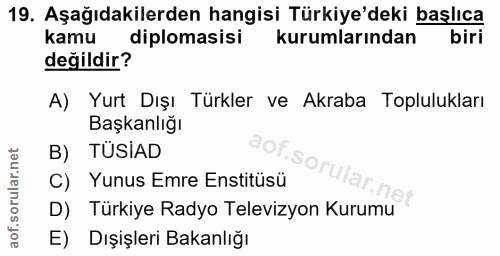 19. soru: Aşağıdakilerden hangisi Türkiye'deki başlıca kamu diplomasisi kurumlarından biri değildir? A) Yurt Dışı Türkler ve Ak…