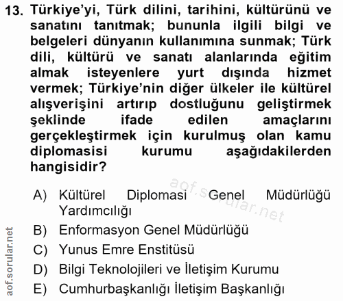 13. soru: Türkiye'yi, Türk dilini, tarihini, kültürünü ve sanatını tanıtmak; bununla ilgili bilgi ve belgeleri dünyanın kullanı…