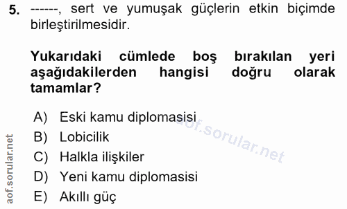 5. soru: --, sert ve yumuşak güçlerin etkin biçimde birleştirilmesidir. Yukarıdaki cümlede boş bırakılan yeri aşağıdakilerden…