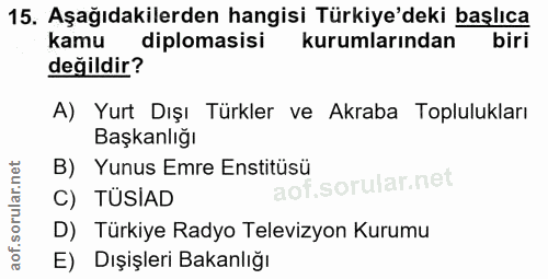 15. soru: Aşağıdakilerden hangisi Türkiye'deki başlıca kamu diplomasisi kurumlarından biri değildir? A) Yurt Dışı Türkler ve Ak…