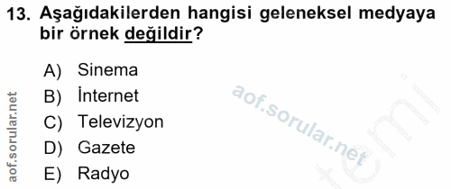 13. soru: Aşağıdakilerden hangisi geleneksel medyaya bir örnek değildir? A) Sinema B) Internet C) Televizyon D) Gazete E) Radyo