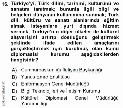 16. soru: Türkiye'yi, Türk dilini, tarihini, kültürünü ve sanatını tanıtmak; bununla ilgili bilgi ve belgeleri dünyanın kullanı…