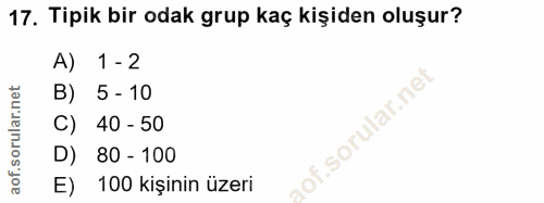17. soru: Tipik bir odak grup kaç kişiden oluşur? A) 1 - 2 B) 5 - 10 C) 40 - 50 80 - 100 E) 100 kişinin üzeri
