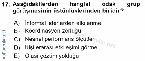 17. soru: Aşağıdakilerden hangisi odak grup görüşmesinin üstünlüklerinden biridir? A) Informal liderlerden etkilenme B) Koordin…