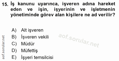15. soru: İş kanunu uyarınca, işveren adına hareket eden ve işin, işyerinin ve işletmenin yönetiminde görev alan kişilere ne ad…