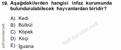 19. soru: Aşağıdakilerden hangisi infaz kurumunda bulundurulabilecek hayvanlardan biridir? A) Kedi B) Bülbül C) Köpek D) Keçi E…