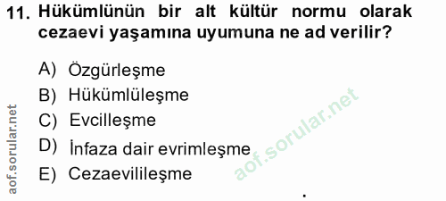 11. soru: Hükümlünün bir alt kültür normu olarak cezaevi yaşamına uyumuna ne ad verilir? A) Özgürleşme B) Hükümlüleşme C) Evcil…