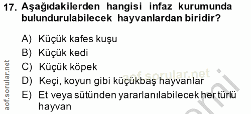 17. soru: Aşağıdakilerden hangisi infaz kurumunda bulundurulabilecek hayvanlardan biridir? A) Küçük kafes kuşu B) Küçük kedi C)…