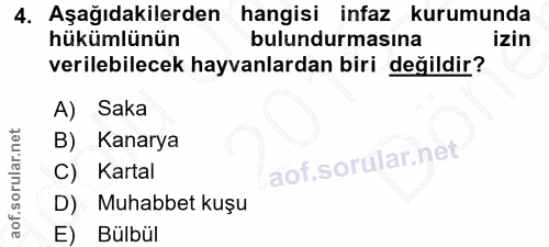 4. soru: Aşağıdakilerden hangisi infaz kurumunda hükümlünün bulundurmasına izin verilebilecek hayvanlardan biri değildir? A) S…