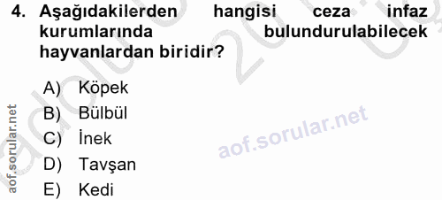 4. soru: Aşağıdakilerden hangisi ceza infaz kurumlarında bulundurulabilecek hayvanlardan biridir? A) Köpek B) Bulbül C) inek D…