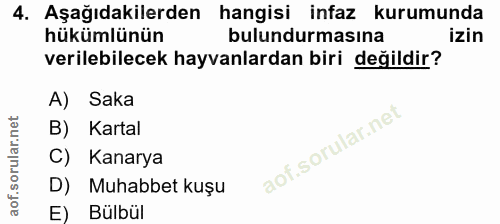 4. soru: Aşağıdakilerden hangisi infaz kurumunda hükümlünün bulundurmasına izin verilebilecek hayvanlardan biri değildir? A) S…