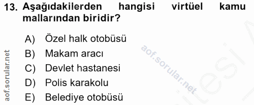 13. soru: Aşağıdakilerden hangisi virtüel kamu mallarından biridir? A) Özel halk otobüsü B) Makam aracı C) Devlet hastanesi D)…