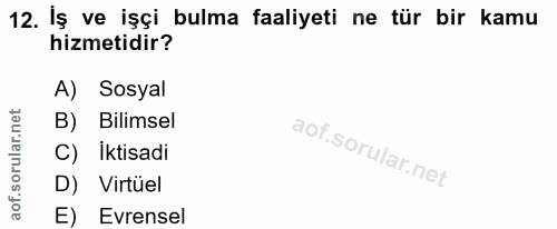 12. soru: İş ve işçi bulma faaliyeti ne tür bir kamu hizmetidir? A) Sosyal B) Bilimsel C) Iktisadi D) Virtüel E) Evrensel