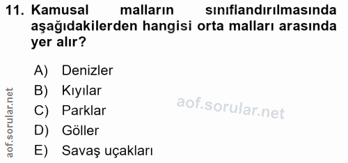 11. soru: Kamusal malların sınıflandırılmasında aşağıdakilerden hangisi orta malları arasında yer alır? A) Denizler B) Kıyılar…