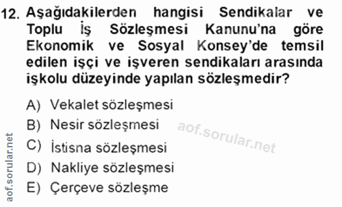 12. soru: Aşağıdakilerden | hangisi Sendikalar ve Toplu iş Sözleşmesi Kanunu'na göre Ekonomik ve Sosyal Konsey'de temsil edilen…