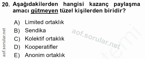20. soru: Aşağıdakilerden hangisi kazanç paylaşma amacı gütmeyen tüzel kişilerden biridir? A) Limited ortaklık B) Sendika C) Ko…