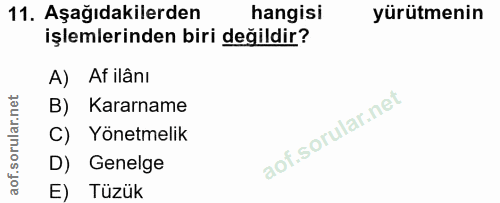 11. soru: Aşağıdakilerden hangisi yürütmenin işlemlerinden biri değildir? A) Af ilânı B) Kararname C) Yönetmelik D) Genelge E)…