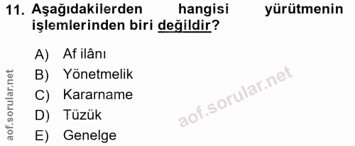 11. soru: Aşağıdakilerden hangisi yürütmenin işlemlerinden biri değildir? A) Af ilânı B) Yönetmelik C) Kararname D) Tüzük E) Ge…