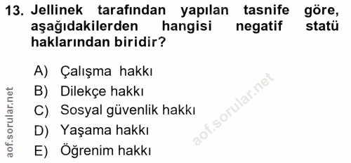 13. soru: Jellinek tarafından yapılan tasnife göre, aşağıdakilerden hangisi negatif statü haklarından biridir? A) Çalışma hakkı…