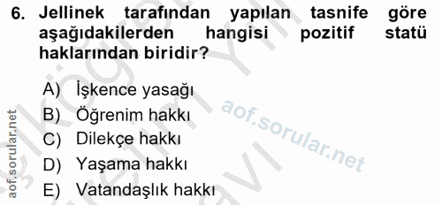 6. soru: Jellinek tarafindan yapılan tasnife göre aşağıdakilerden hangisi pozitif statü haklarından biridir? A) İşkence yasağı…