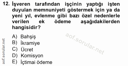 12. soru: Işveren tarafından işçinin yaptığı işten duyulan memnuniyeti göstermek için ya da yeni yıl, evlenme gibi bazı özel ne…
