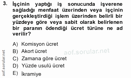 3. soru: Işçinin yaptığı iş sonucunda işverene sağladığı menfaat üzerinden veya işçinin gerçekleştirdiği işlem üzerinden belir…
