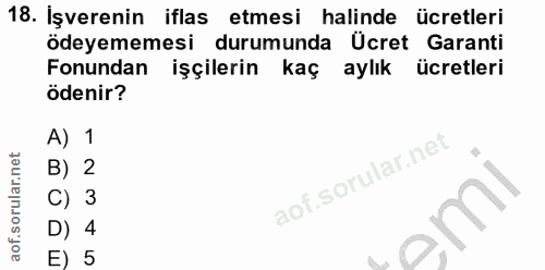 18. soru: Işverenin iflas etmesi halinde ücretleri ödeyememesi durumunda Ücret Garanti Fonundan işçilerin kaç aylık ücretleri ö…
