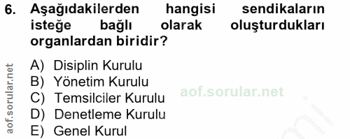 6. soru: Aşağıdakilerden hangisi sendikaların isteğe bağlı olarak oluşturdukları organlardan biridir? A) Disiplin Kurulu B) Yö…