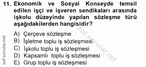 11. soru: Ekonomik ve Sosyal Konseyde temsil edilen işçi ve işveren sendikaları arasında işkolu düzeyinde yapılan sözleşme türü…