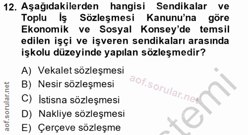 12. soru: Aşağıdakilerden hangisi Sendikalar ve Toplu Iş Sözleşmesi Kanunu'na göre Ekonomik ve Sosyal Konsey'de temsil edilen i…