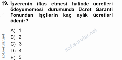 19. soru: İşverenin iflas etmesi halinde ücretleri ödeyememesi durumunda Ücret Garanti Fonundan işçilerin kaç aylık ücretleri ö…