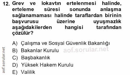 12. soru: Grev ve lokavtin ertelenmesi halinde, erteleme süresi sonunda anlaşma sağlanamaması halinde taraflardan birinin başvu…