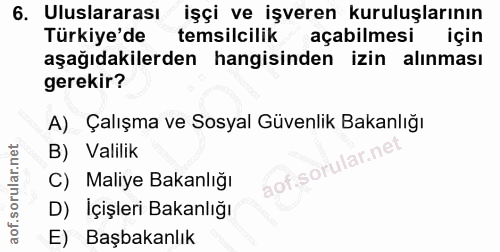 6. soru: Uluslararası işçi ve işveren kuruluşlarının Türkiye'de temsilcilik açabilmesi için aşağıdakilerden hangisinden izin a…