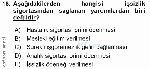 18. soru: Aşağıdakilerden hangisi işsizlik sigortasından sağlanan yardımlardan biri değildir? A) Hastalık sigortası primi ödenm…