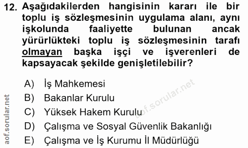 12. soru: Aşağıdakilerden hangisinin kararı ile bir toplu iş sözleşmesinin uygulama alanı, aynı işkolunda faaliyette bulunan an…