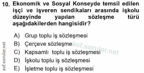 10. soru: Ekonomik ve Sosyal Konseyde temsil edilen işçi ve işveren sendikaları arasında işkolu düzeyinde yapılan sözleşme türü…