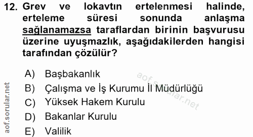 12. soru: Grev ve lokavtın ertelenmesi halinde, erteleme süresi sonunda anlaşma sağlanamazsa taraflardan birinin başvurusu üzer…