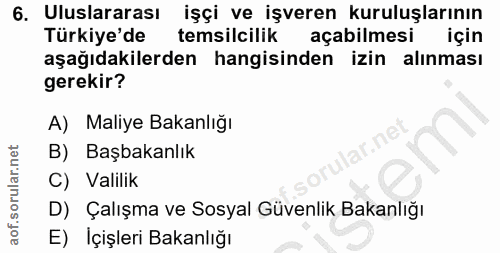 6. soru: Uluslararası işçi ve işveren kuruluşlarının Türkiye'de temsilcilik açabilmesi için aşağıdakilerden hangisinden izin a…