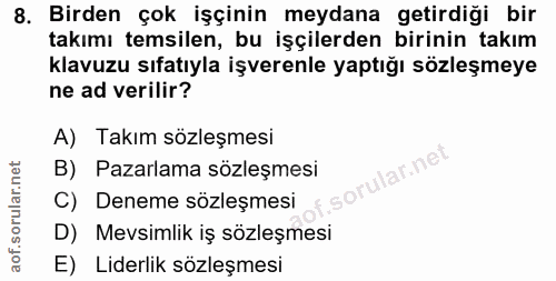 8. soru: Birden çok işçinin meydana getirdiği bir takımı temsilen, bu işçilerden birinin takım klavuzu sıfatıyla işverenle yap…